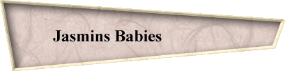 Jasmins Babies                 