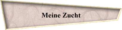 Meine Zucht