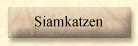 Siamkatzen