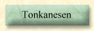 Tonkanesen